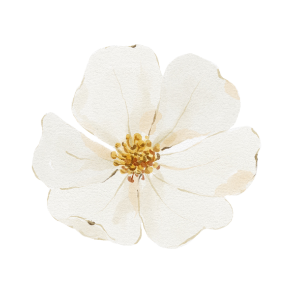 Im Garten, wo ich mein eigenes Gemüse und bezaubernde Schnittblumen anbaue.